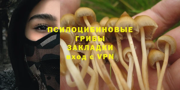 apvp Костерёво