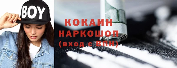 прущая мука Корсаков