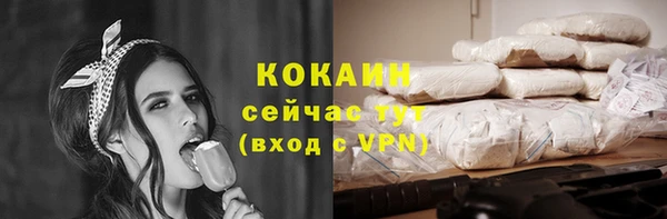 гидропоника Коряжма