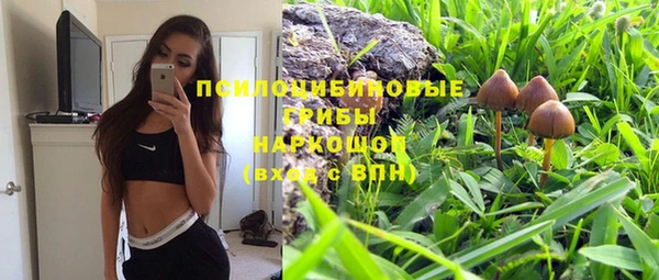 apvp Костерёво