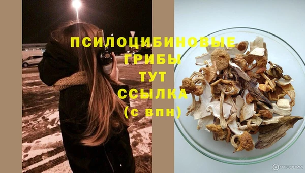 apvp Костерёво