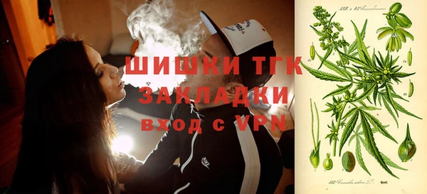 гидропоника Коряжма