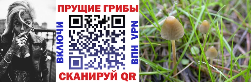 Псилоцибиновые грибы ЛСД Невинномысск