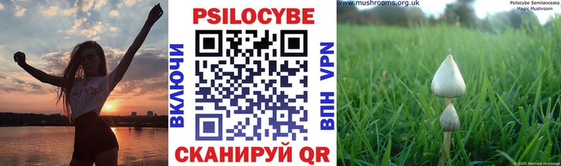 что такое наркотик  Невинномысск  Псилоцибиновые грибы мицелий 