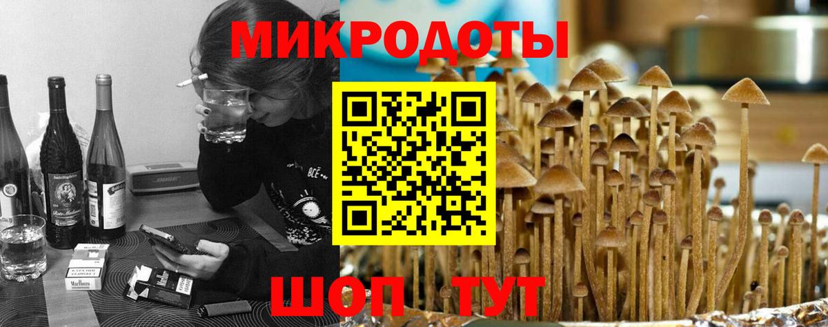 Псилоцибиновые грибы ЛСД  Невинномысск  Галлюциногенные грибы Psilocybine cubensis 