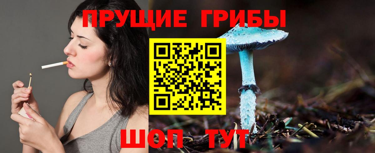 Галлюциногенные грибы GOLDEN TEACHER  Вход с VPN  купить наркоту  Невинномысск 